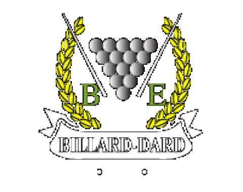 Boutique Billard-Dards Expert