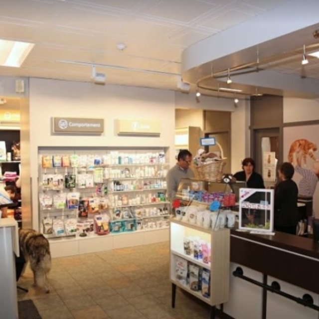 Clinique Vétérinaire du Compagnon Inc. | Passionimo - <strong>Error:</strong> Undefined index: cat_name<br><strong>Line:</strong> 286<br><strong>File:</strong> tpl-listing.php<br> - 