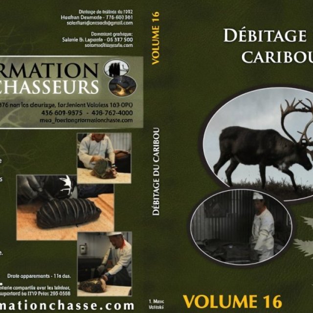 Formation Chasse - <strong>Error:</strong> Undefined index: cat_name<br><strong>Line:</strong> 462<br><strong>File:</strong> tpl-listing.php<br> - 