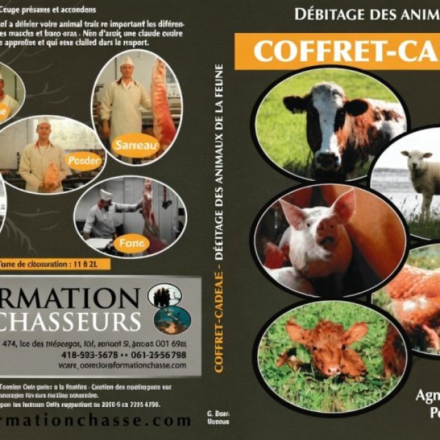 Formation Chasse - <strong>Error:</strong> Undefined index: cat_name<br><strong>Line:</strong> 462<br><strong>File:</strong> tpl-listing.php<br> - 