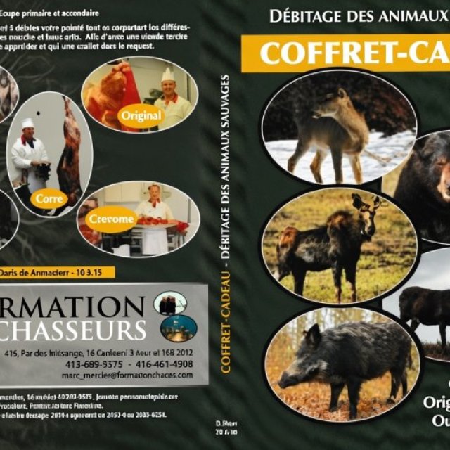 Formation Chasse - <strong>Error:</strong> Undefined index: cat_name<br><strong>Line:</strong> 462<br><strong>File:</strong> tpl-listing.php<br> - 